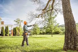 Best Tree Removal  in East Farmingdale, NY